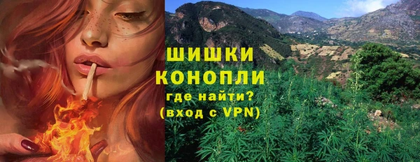 твердый Богородск