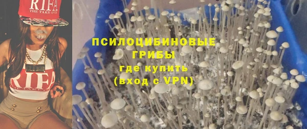 твердый Богородск
