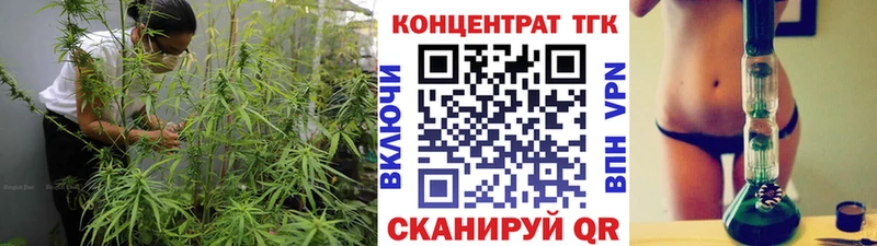 цена Сим mega как войти Дистиллят ТГК THC oil